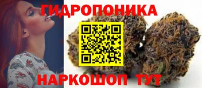 мет Дубна