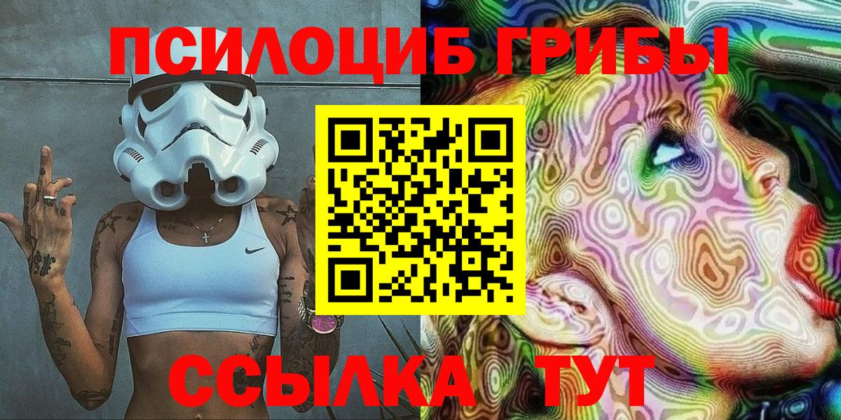 Галлюциногенные грибы Psilocybe Грозный