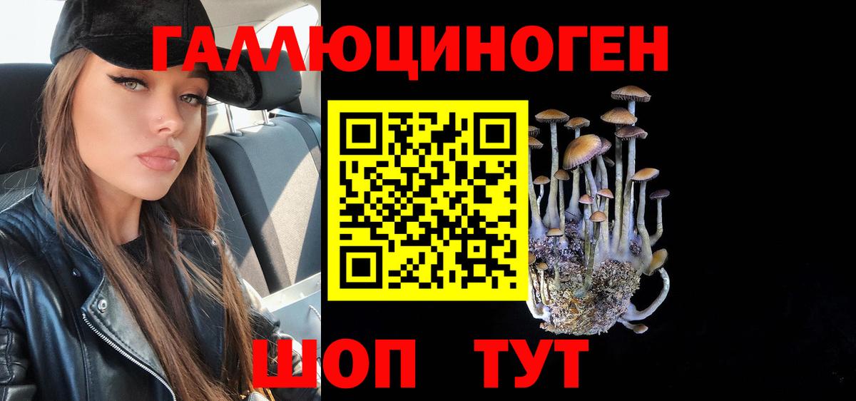 что такое наркотик  Вход с VPN  Грозный  Псилоцибиновые грибы MAGIC MUSHROOMS 